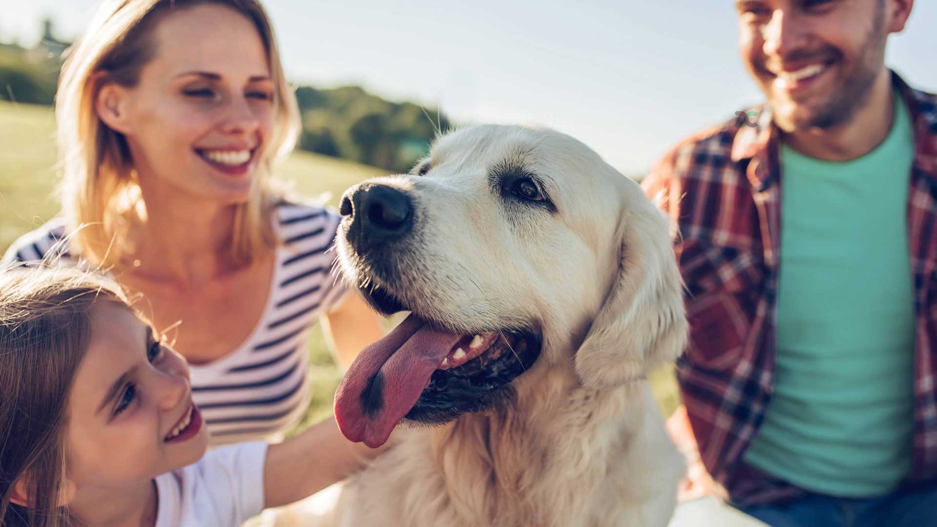 Family with Labrador