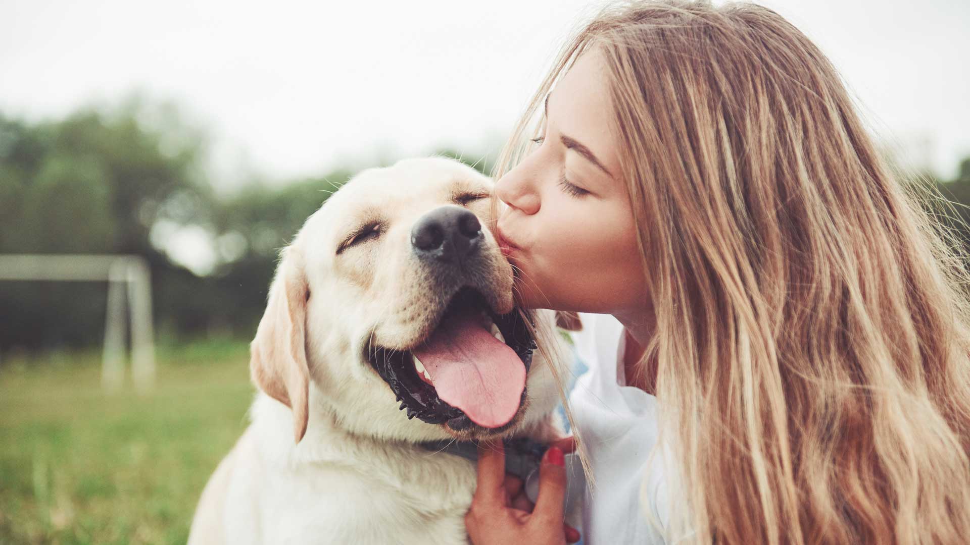 woman with labrador